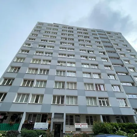 Grey Gucci Center Varsovie