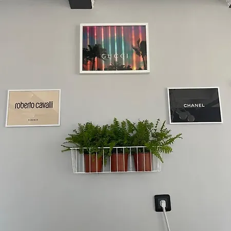 Apartment Grey Gucci Center